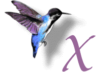 Алгоритм Hummingbird был разработан, чтобы помочь Google лучше понять   Намерение искателя