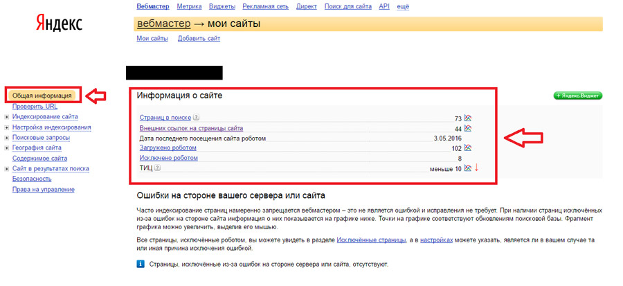 Отже, інформацію по індексації в Яндексі дивимося в розділі «Загальна інформація»: